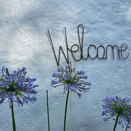 Caladdi Bed And Breakfast Durban Luaran gambar