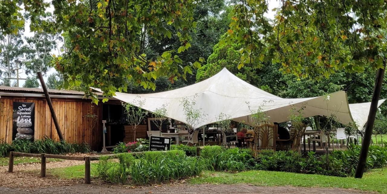 Caladdi Bed And Breakfast Durban Luaran gambar