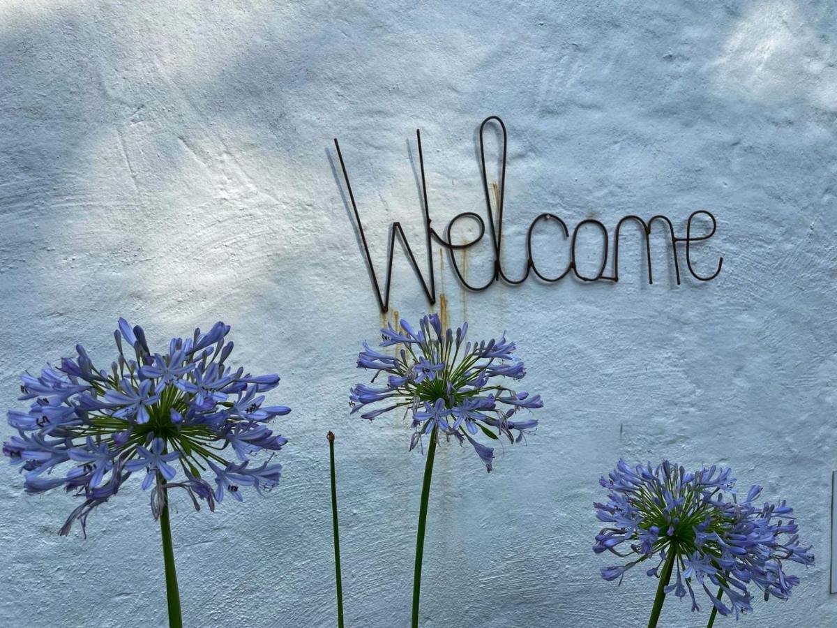 Caladdi Bed And Breakfast Durban Luaran gambar