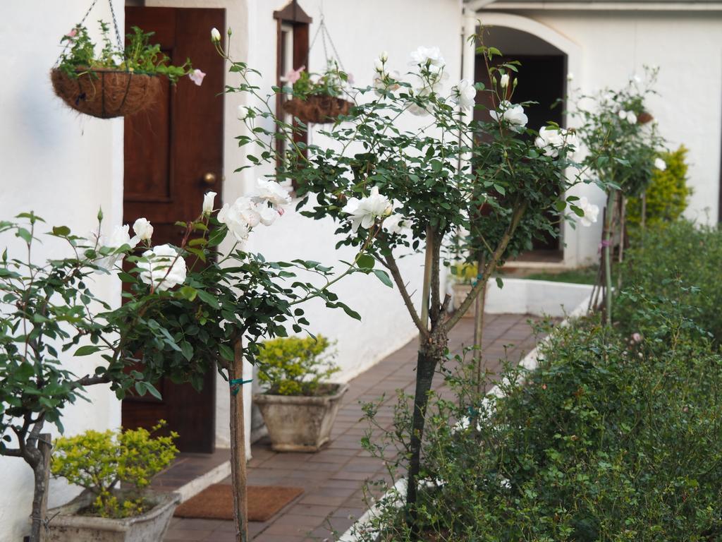 Caladdi Bed And Breakfast Durban Luaran gambar