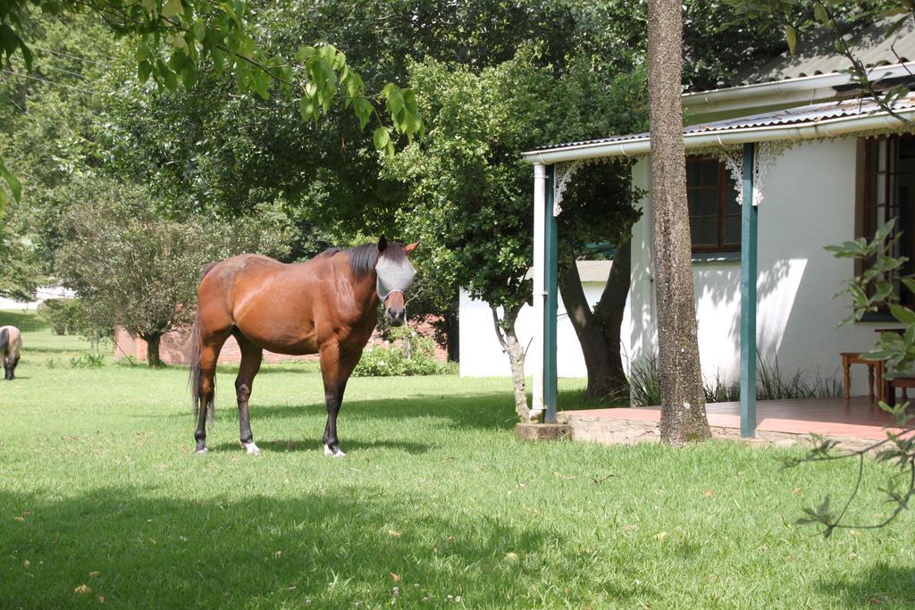 Caladdi Bed And Breakfast Durban Luaran gambar