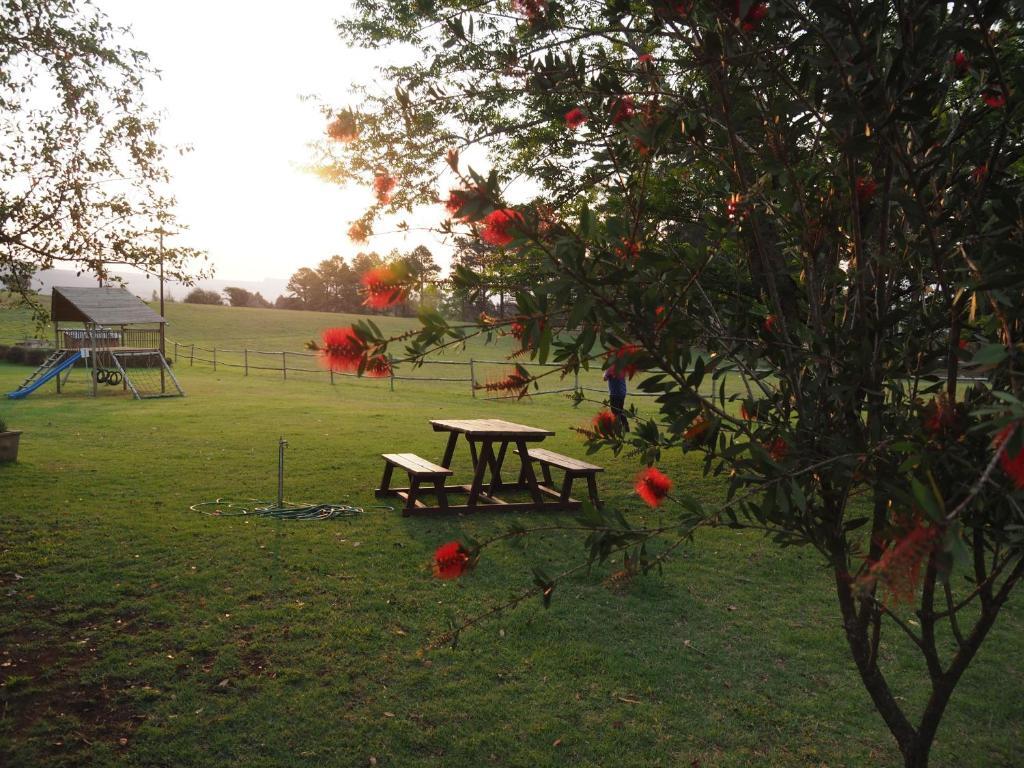 Caladdi Bed And Breakfast Durban Luaran gambar